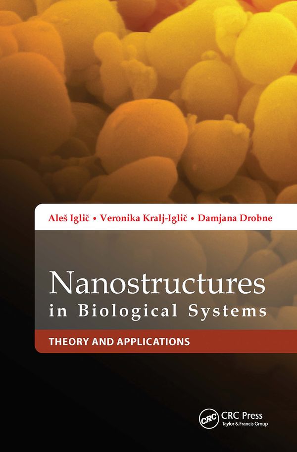Nanostructures in Biological Systems | 1:a upplagan