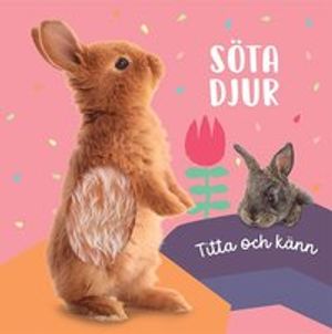 Titta och känn: söta djur