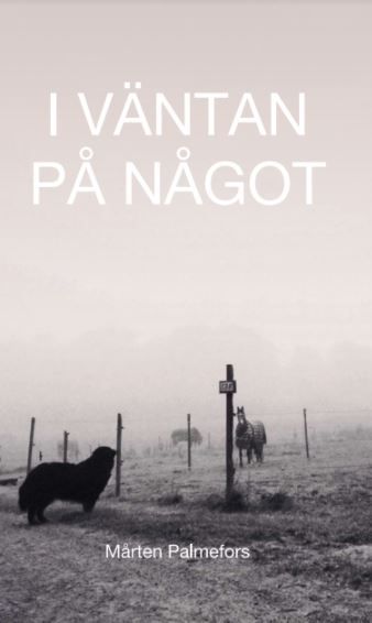 I väntan på något | 0:e upplagan