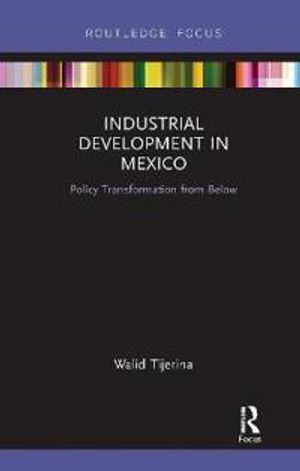 Industrial Development in Mexico | 1:a upplagan