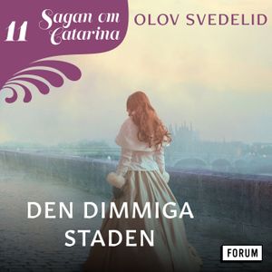 Den dimmiga staden : Sagan om Catarina