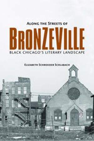 Along the Streets of Bronzeville