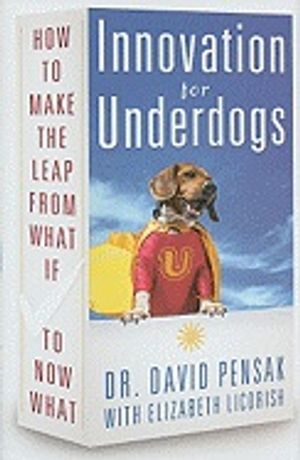 Innovation For Underdogs : How to Make the Leap From What If to Now What