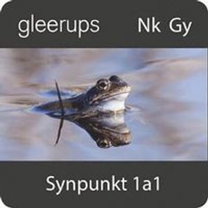 Synpunkt Nk 1a1 Interaktiv elevbok 6 mån