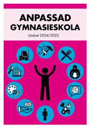 Anpassad gymnasieskola läsåret 2024/2025