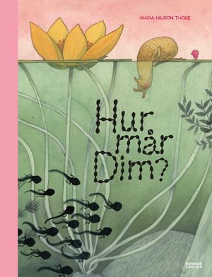 Hur mår Dim?