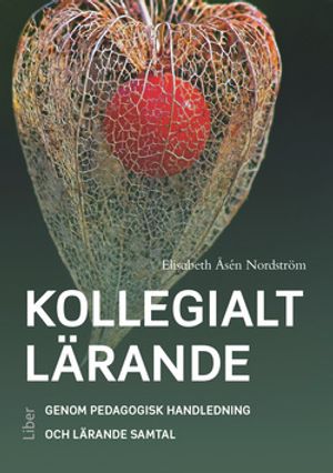 Kollegialt lärande | 1:a upplagan