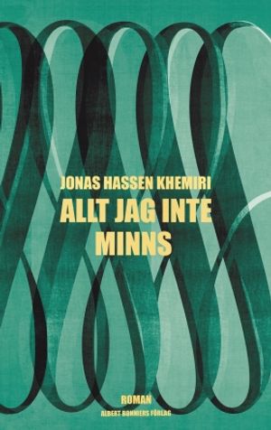 Allt jag inte minns | 1:a upplagan