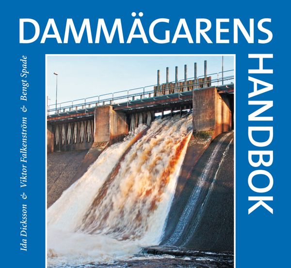 Dammägarens handbok | 1:a upplagan