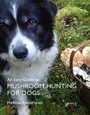 An Easy Guide to Mushroom Hunting for Dogs