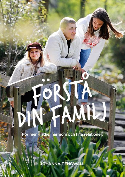 Förstå din Familj - I nuet med dina barn för glädje, harmoni | 0:e upplagan