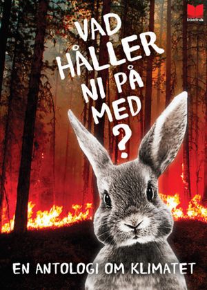 Vad håller ni på med? En antologi om klimatet