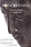 Mindfulness - Joseph Goldstein