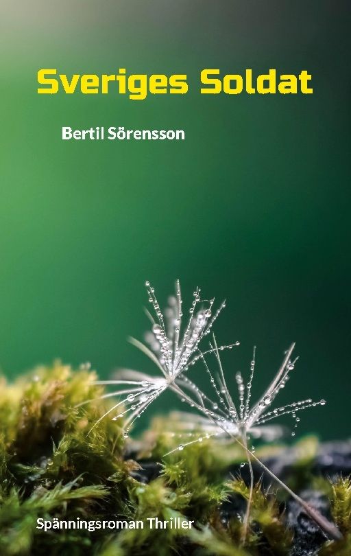 Sveriges Soldat : Spänningsroman Thriller | 2:a upplagan