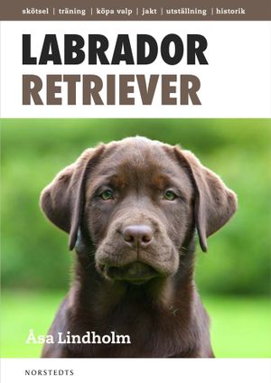 Labrador retriever : det mesta du behöver veta om din hund | 1:a upplagan