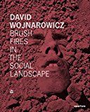 David wojnarowicz - brush fires in the social landscape