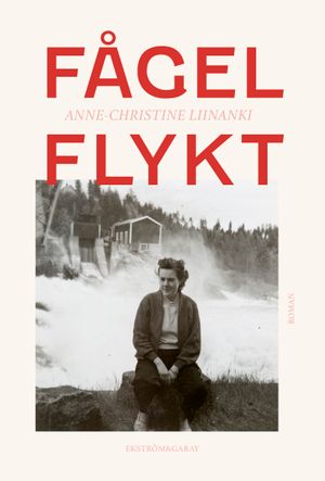 Fågelflykt | 1:a upplagan