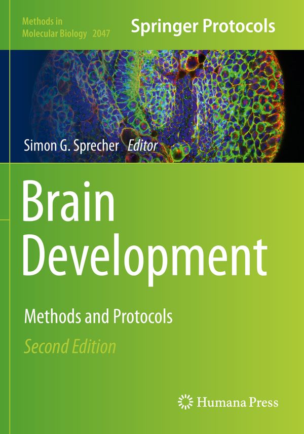 Brain Development: Methods and Protocols: 2047 (Methods in Molecular Biology) | 2:a upplagan