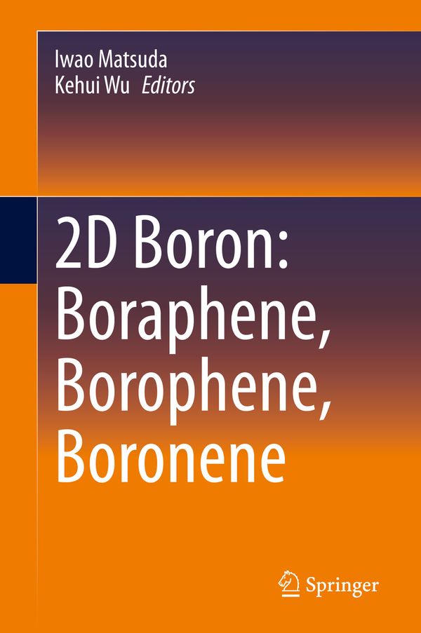 2D Boron: Boraphene, Borophene, Boronene | 1:a upplagan