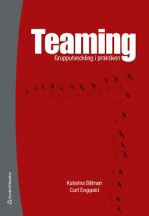 Teaming - Grupputveckling i praktiken | 1:a upplagan