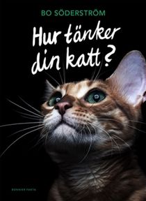 Hur tänker din katt?