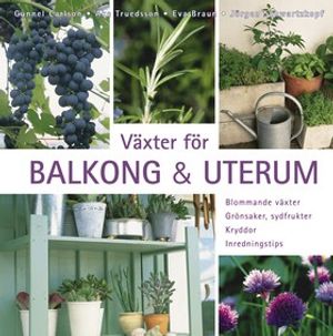 Växter för balkong & uterum : blommande växter, grönsaker, sydfrukter, kryddor, inredningstips