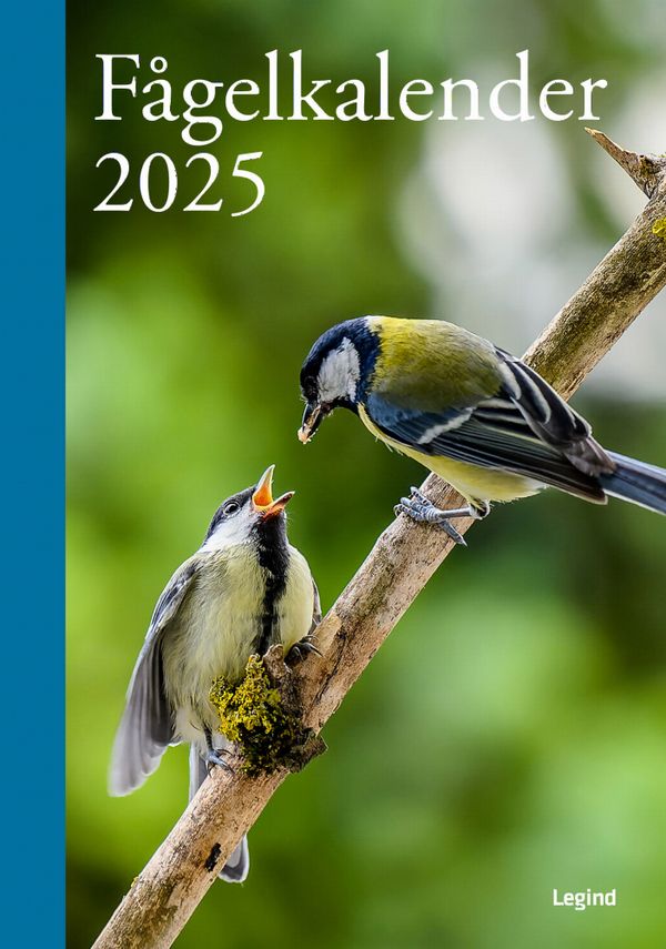 Fågelkalender 2025 | 0:e upplagan