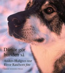 Därför gör hunden så