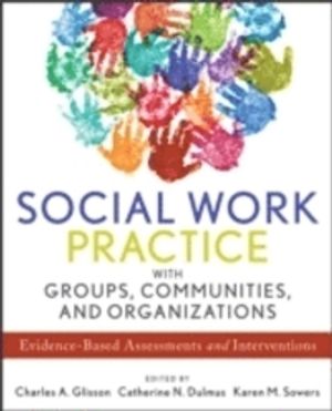 Social Work Practice with Groups, Communities, and Organizations | 1:a upplagan