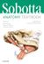 Sobotta Anatomy Textbook : English Edition with Latin Nomenclature