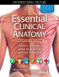 Essential Clinical Anatomy | 4:e upplagan