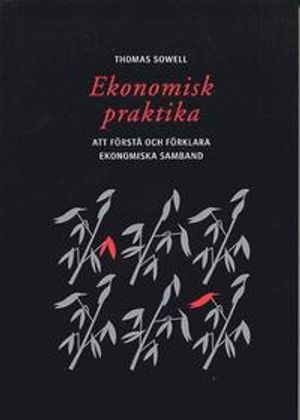 Ekonomisk praktika : Att förstå och förklara ekonomiska samband | 1:a upplagan