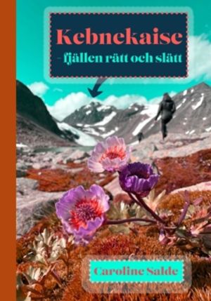 Kebnekaise - fjällen rätt och slätt