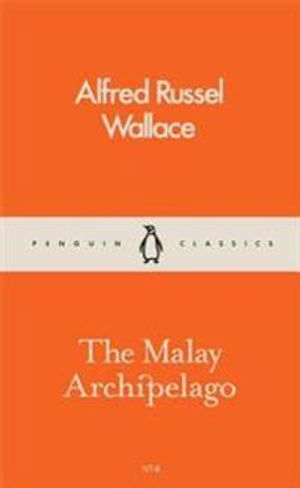 The Malay Archipelago