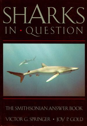 Sharks In Question