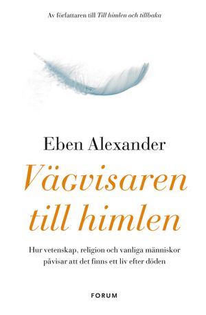 Vägvisaren till himlen : hur vetenskap, religion och vanliga människor påvisar att det finns ett liv efter döden | 1:a upplagan