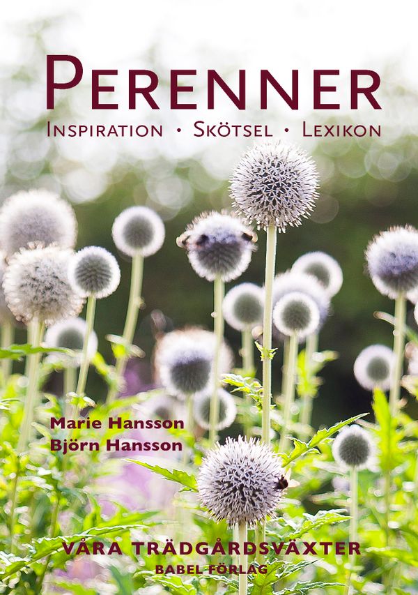 Perenner : Inspiration - Skötsel - Lexikon | 5:e upplagan