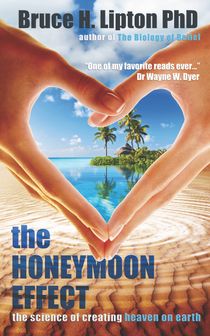 The Honeymoon Effect : The Science of Creating Heaven on Earth