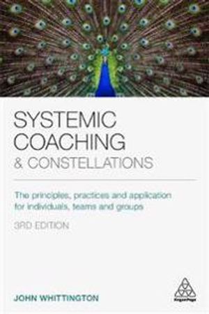 Systemic Coaching and Constellations