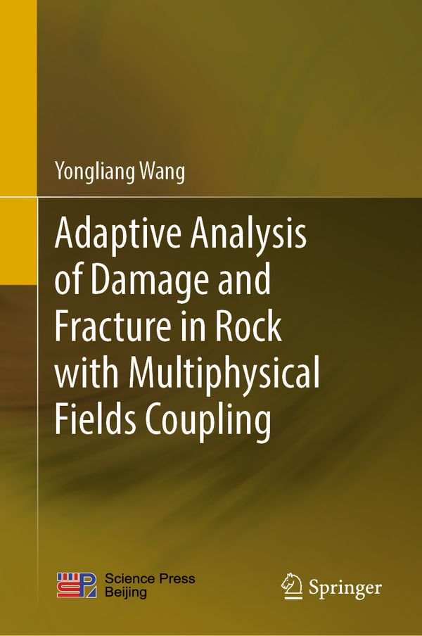 Adaptive Analysis of Damage and Fracture in Rock with Multiphysical Fields Coupling | 1:a upplagan