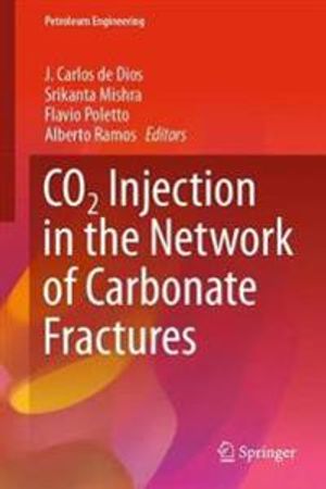 CO2 Injection in the Network of Carbonate Fractures | 1:a upplagan