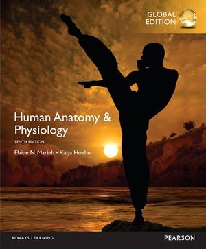 Human Anatomy & Physiology, OLP with eText, Global Edition | 10:e upplagan