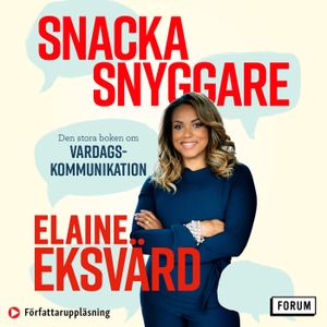 Snacka snyggare : Den stora boken om vardagsretorik