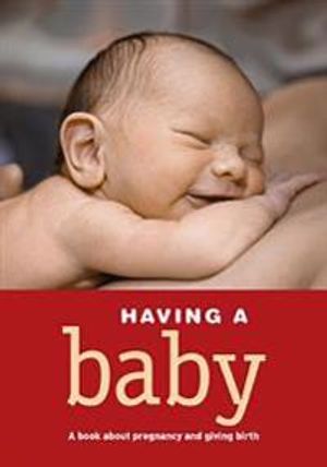 Having a baby : a book about pregnancy, childbirth and giving birth (Vänta barn)