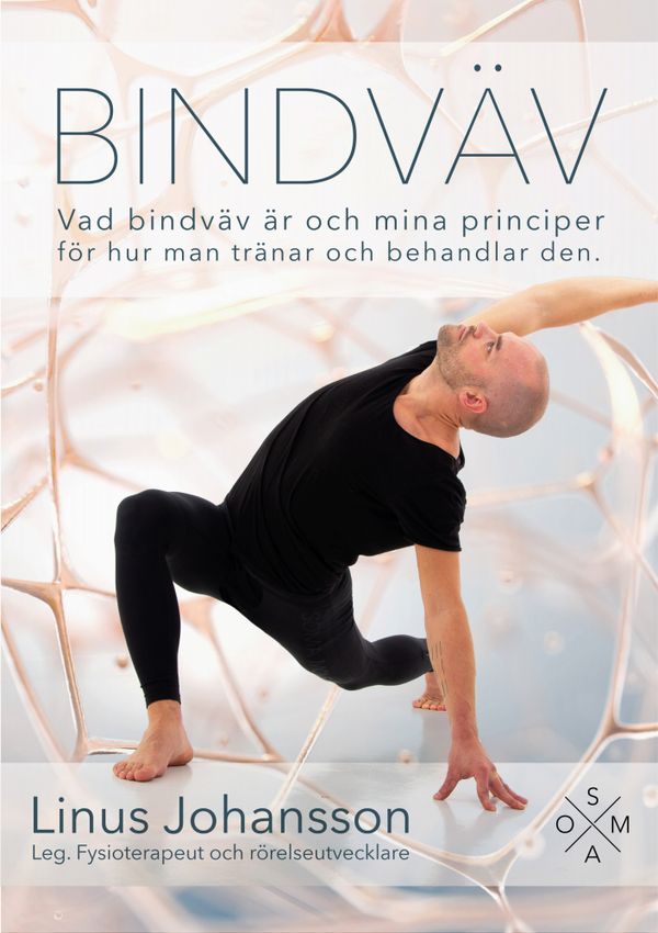 Bindväv - Vad bindväv är och mina principer för hur man tränar och behandlar den | 0:e upplagan