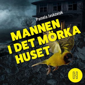 Mannen i det mörka huset