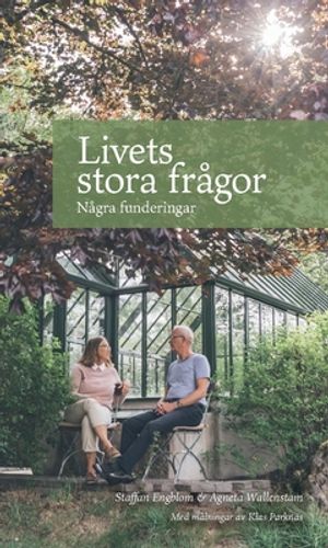 Livets stora frågor : några funderingar