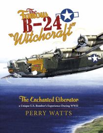 Famous b-24 witchcraft - the enchanted liberatoraa unique u.s. bombers ex