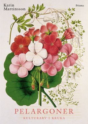 Pelargoner | 1:a upplagan