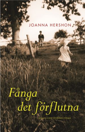 Fånga det förflutna